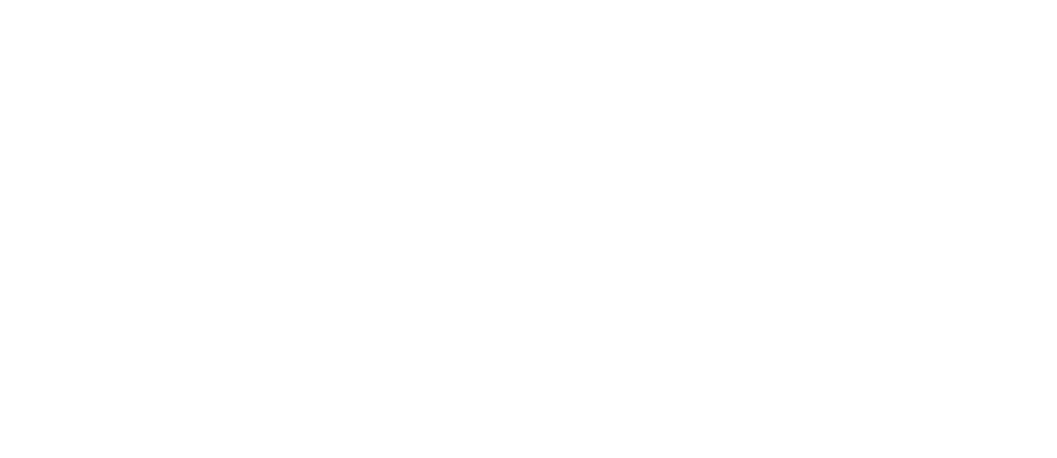 stripe logo